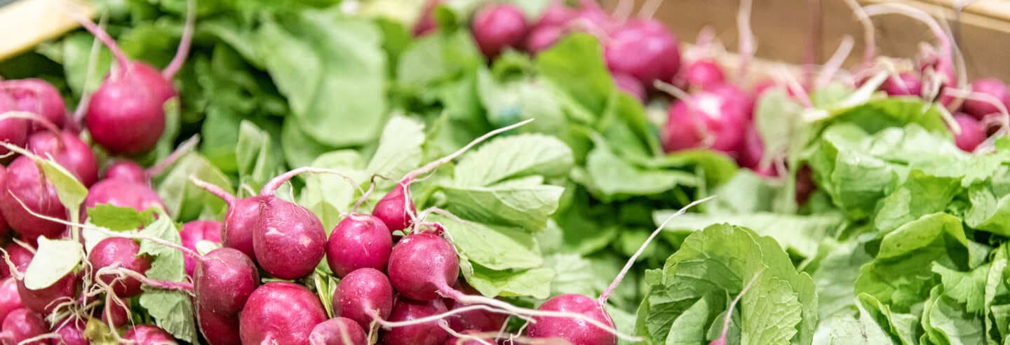 Rungis-legumes-radis