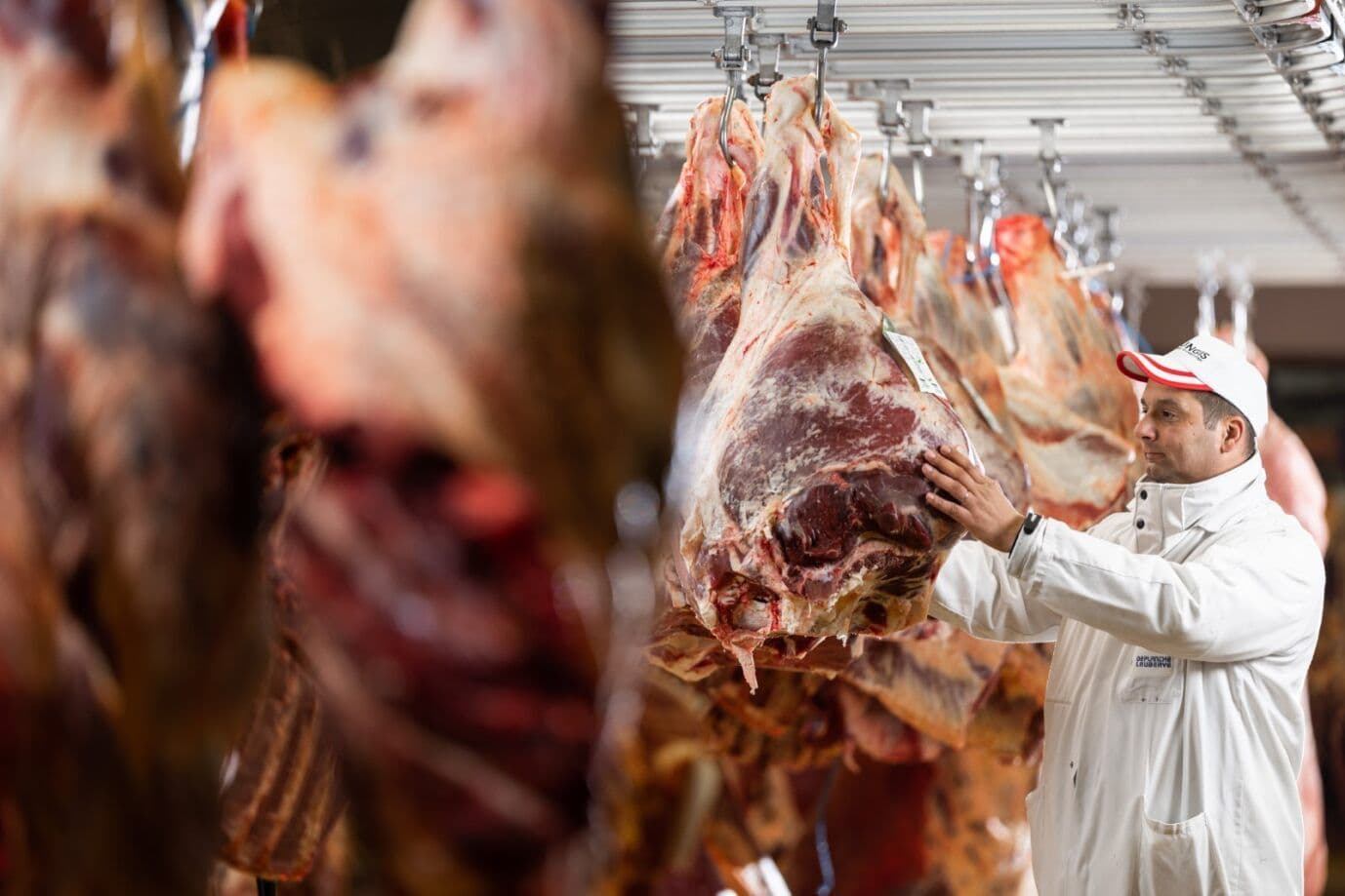 Visuel - 50 ans de la viande