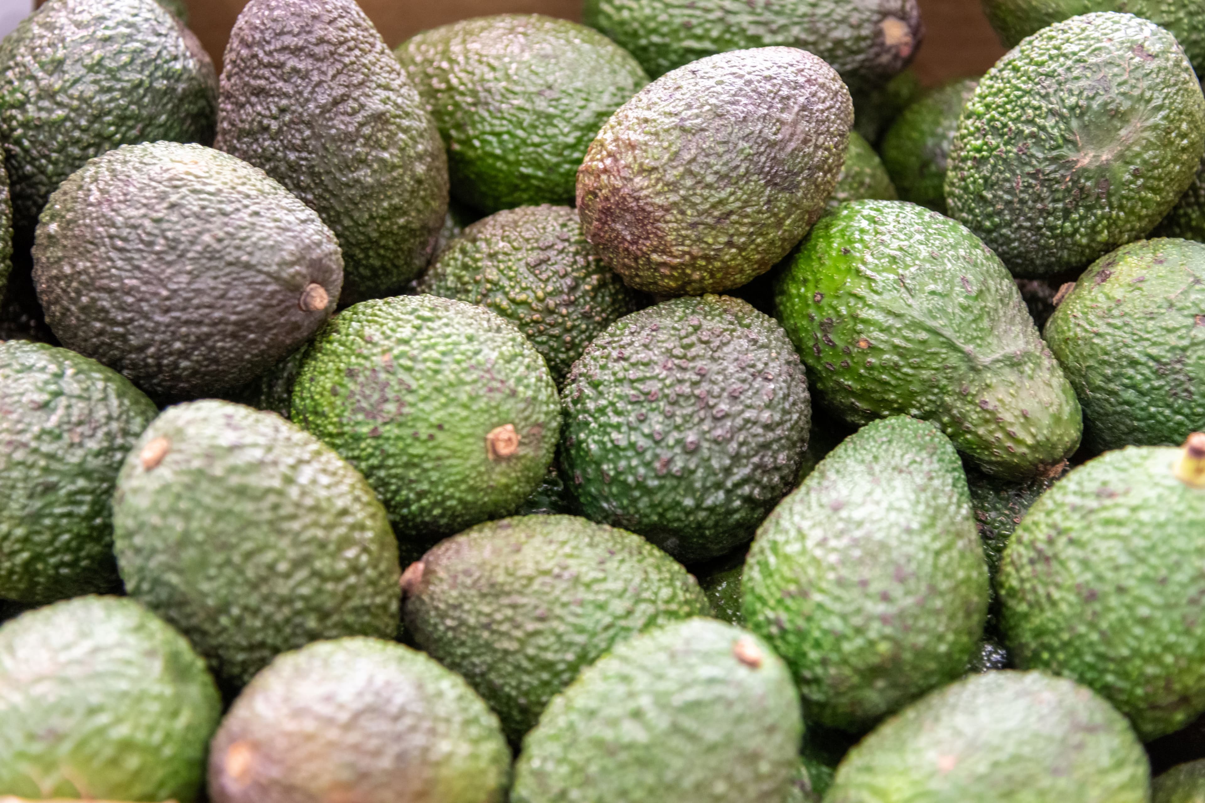rungis-annuaire-legume-exotique-avocat