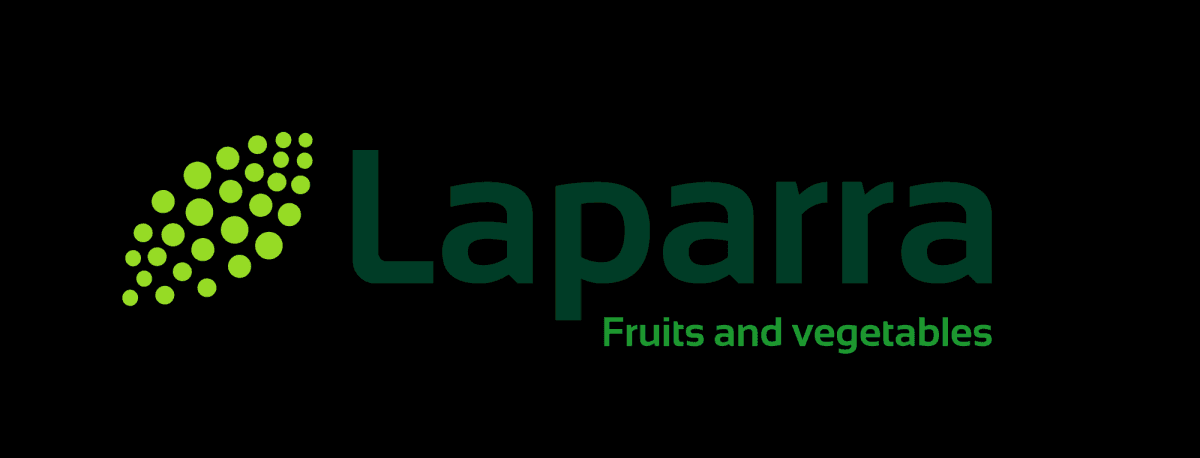 AGENCE LAPARRA