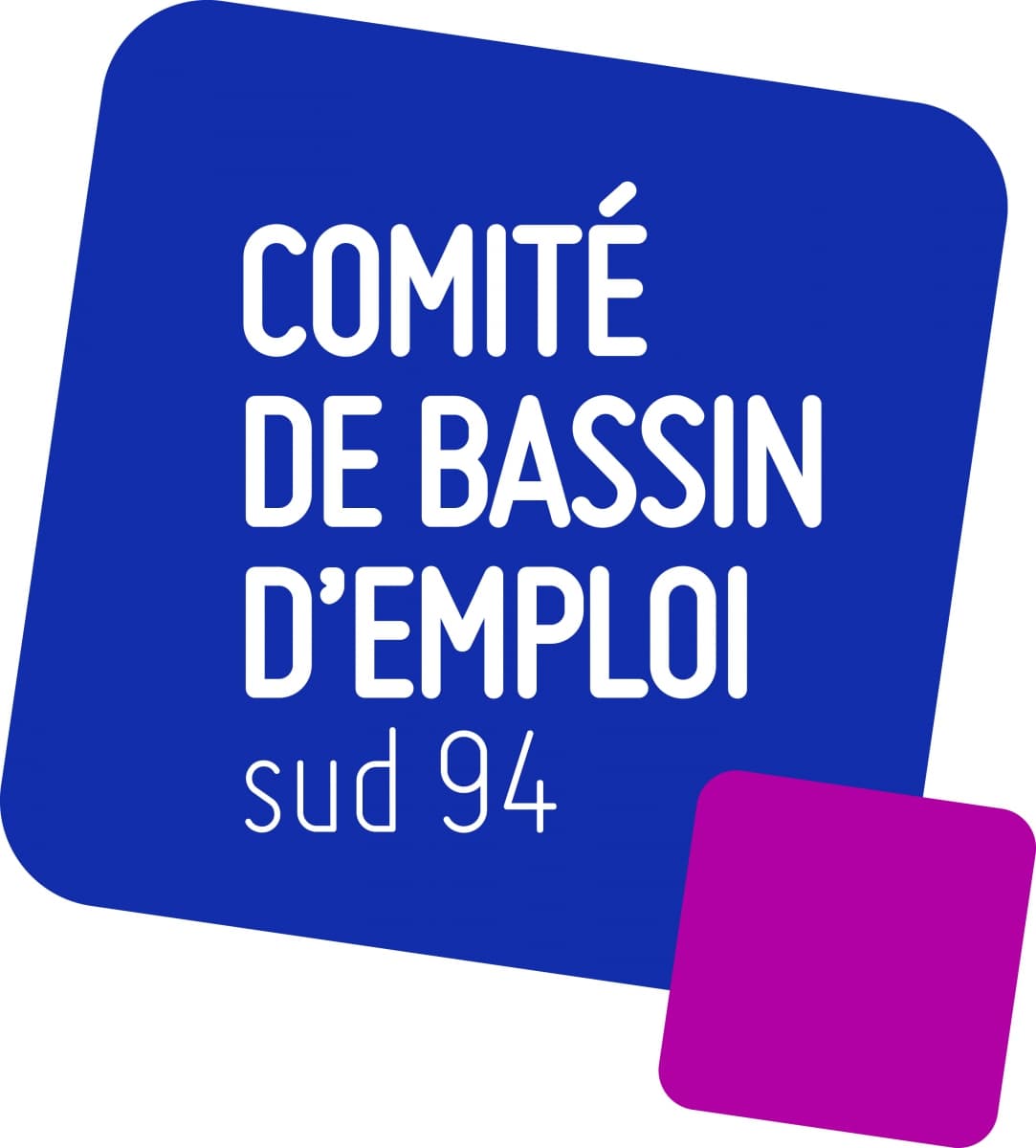 CBE - COMITE DE BASSIN D'EMPLOI DU SUD VAL-DE-MARNAIS