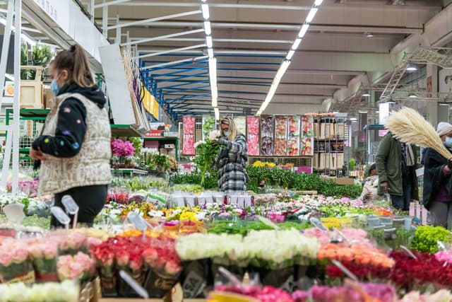 Green Rungis Grossistes pour fleuristes | Marché de Rungis