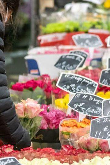 Pots de fleurs mis en vente au Marché de Rungis
